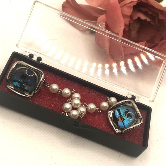 Vintage Real Butterfly Wing Hoffman Palm Tree Sunset Sweater Guard Clip Morpho - Picture 3 of 3